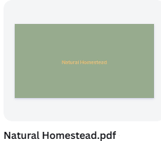 Canva design for home goods store